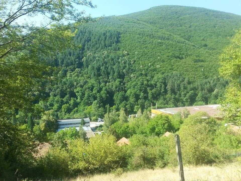 Парцел в регулация