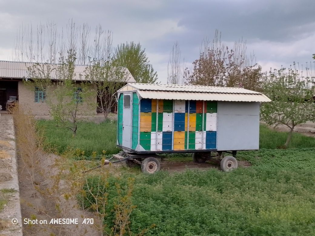 ASALARI  PRITSIB   Eng zamonaviy .44. Semya  16 .ramkadan