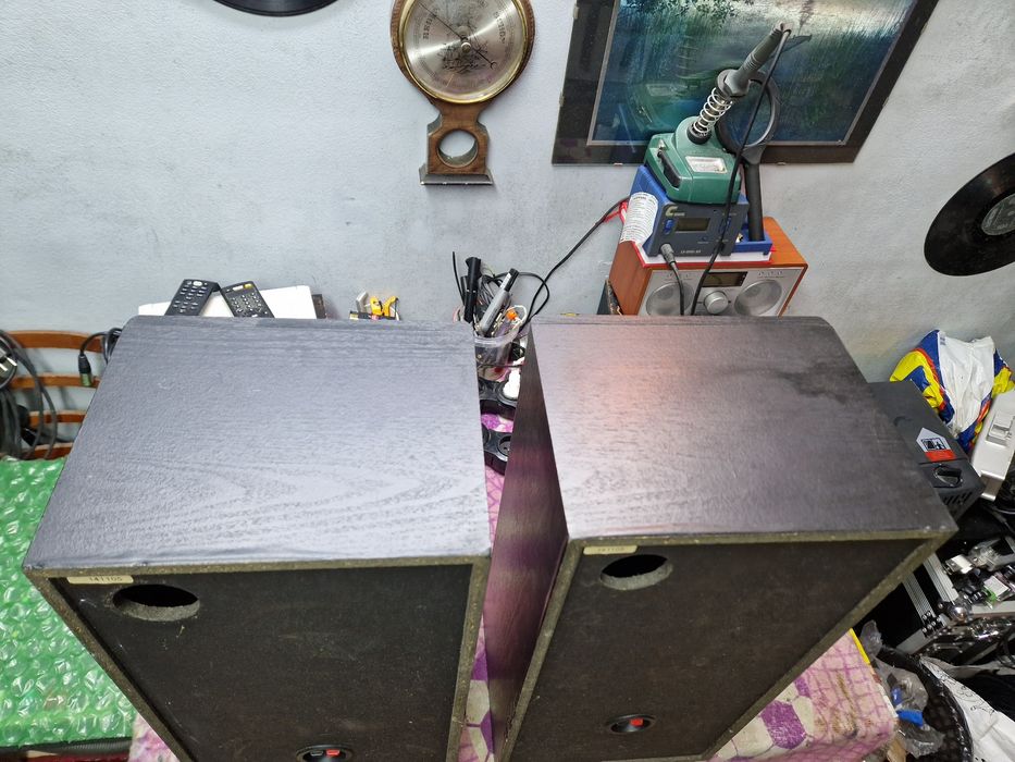 Monitoare (boxe) lady micro 60w