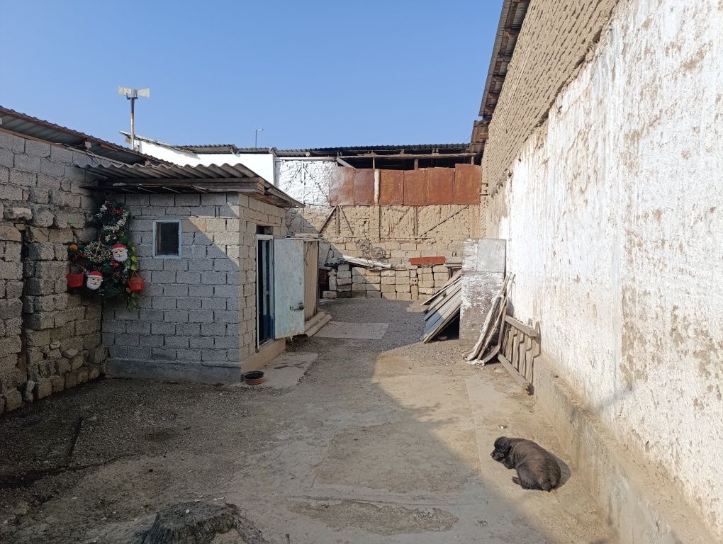 2.5 sotik  xovli  sotilad Narxi kelshladi YASHNOBOD tumani AXMAD YASSA