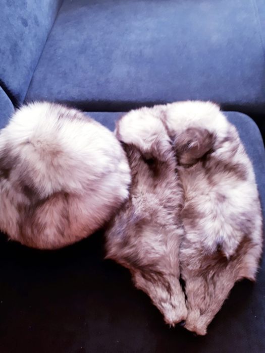 Vând căciulă și guler din blana vulpe polara