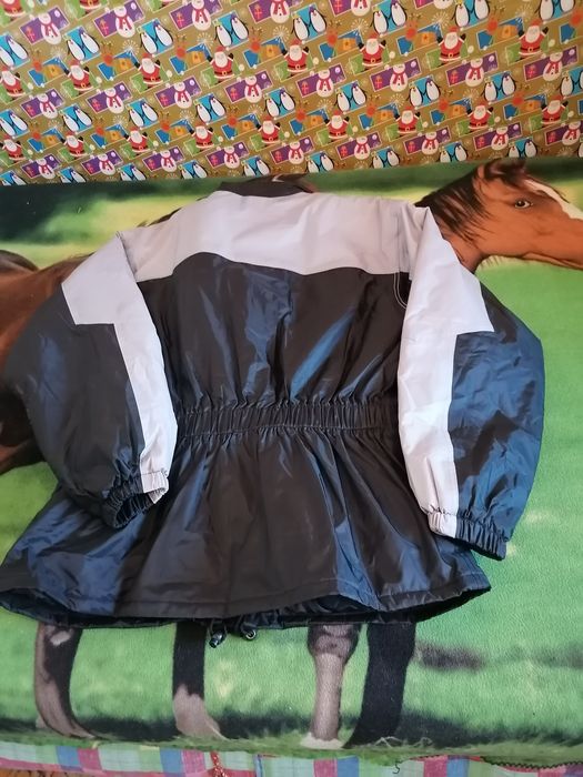 OFERTA, OFERTA, Ofertă, Ofertă, Ofertă, Ofertă