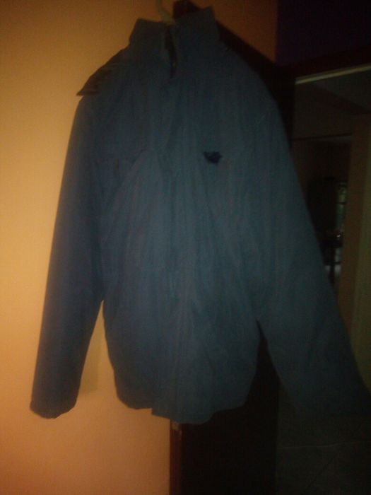 Scurta barbateasca