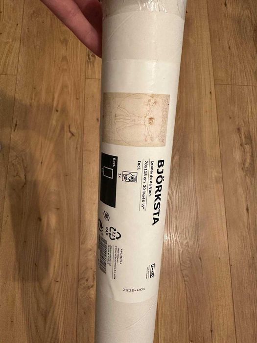 Tablou Ikea Leonardo Da Vinci + rama de aluminiu BJORKSTA