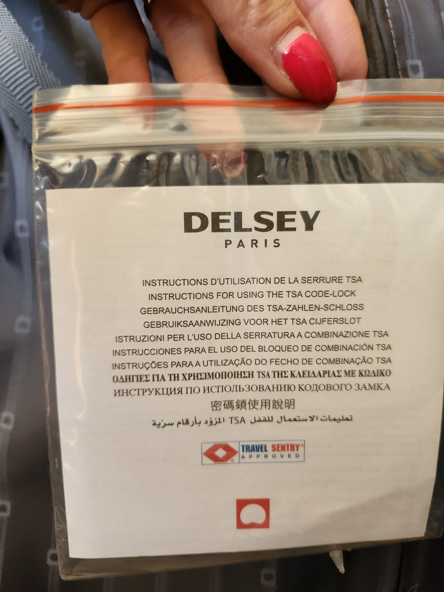 Куфар DELSEY Paris