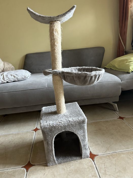 Котешка катерушка в добро състояние