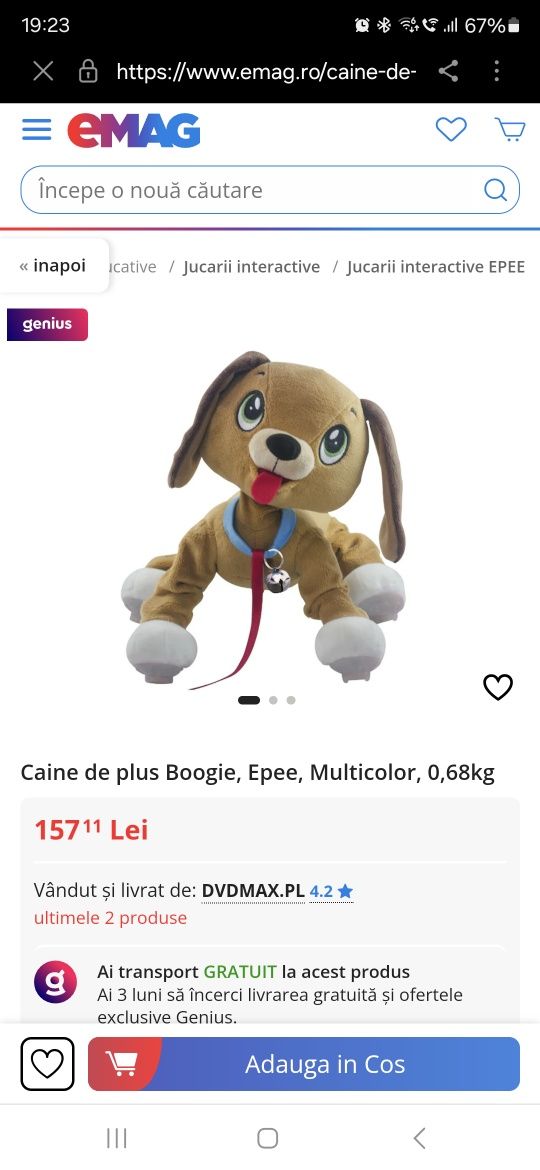 Caine de plus Boogie, Eppe