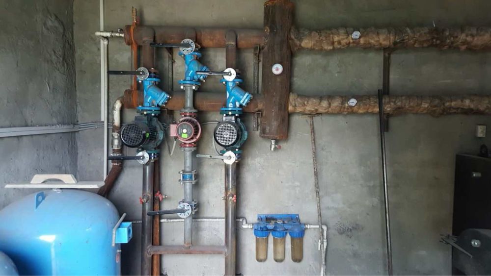 Арендага парник бор