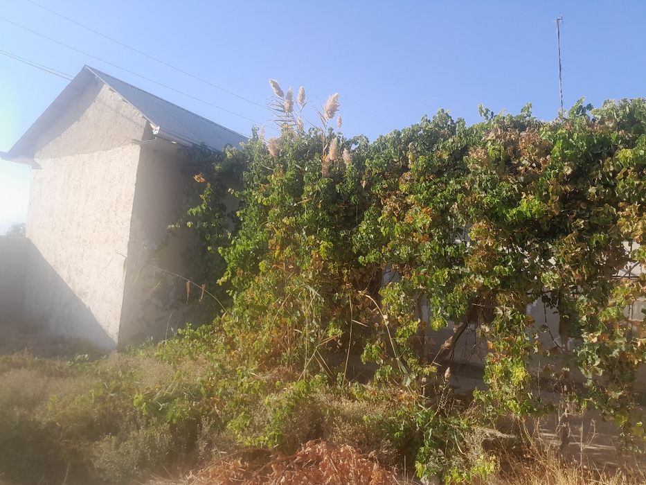 Dacha sotiladi karmanada
