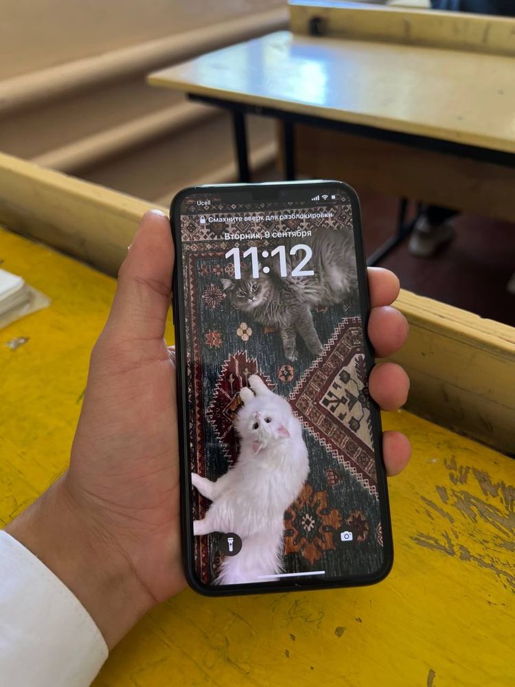 Iphone 11 pro max