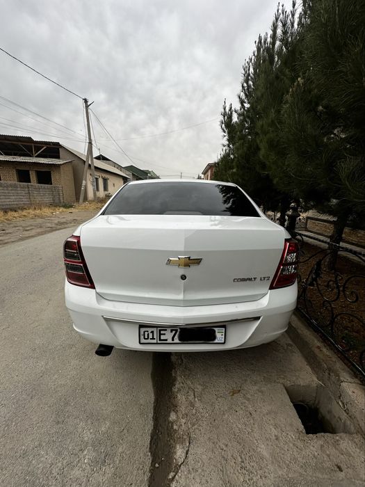 Cobalt (Кобальт) 2022