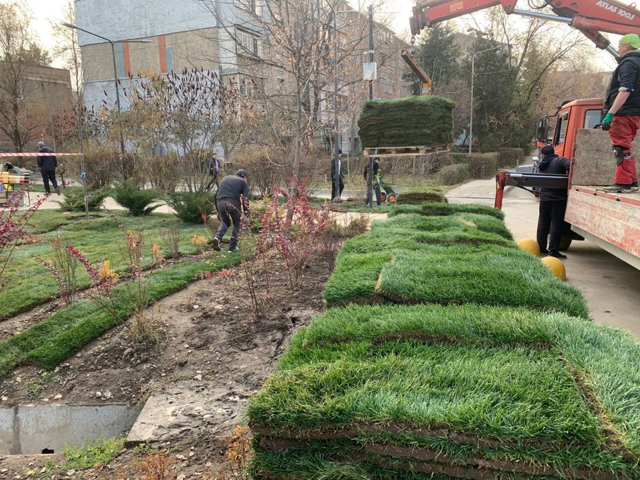 озеленение! Ландшафтный дизаин ,