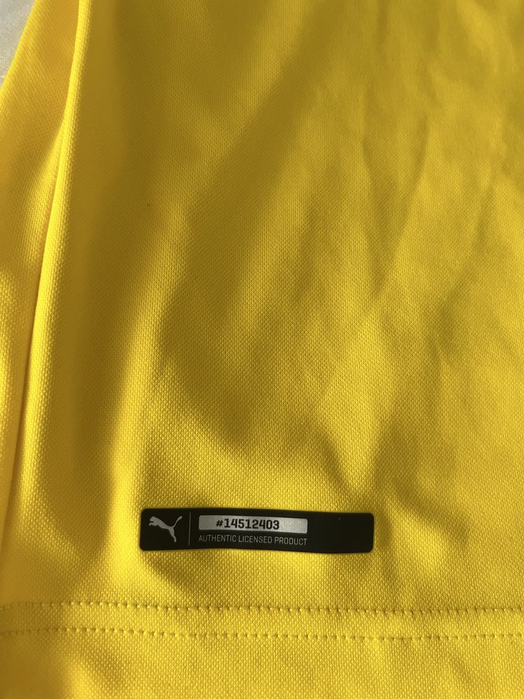 Екип 18/19 Borussia Dortmund