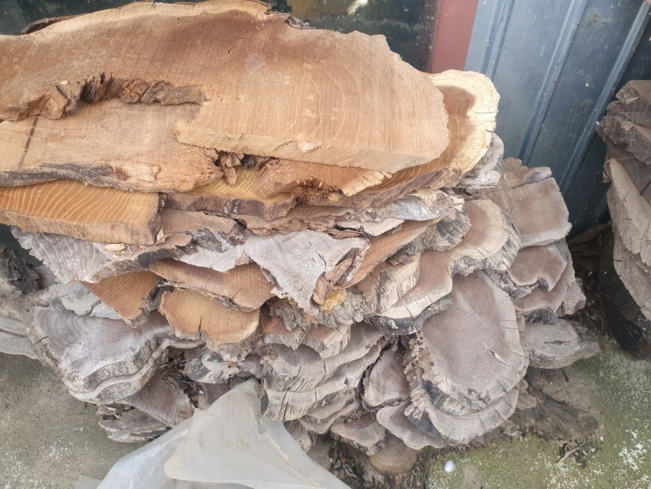 Lemn dud din rădacină