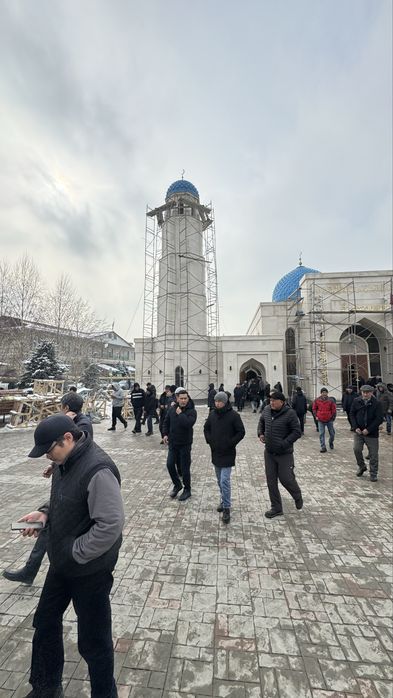 Прокат лесов и туров на колесах – без залога, с доставкой!