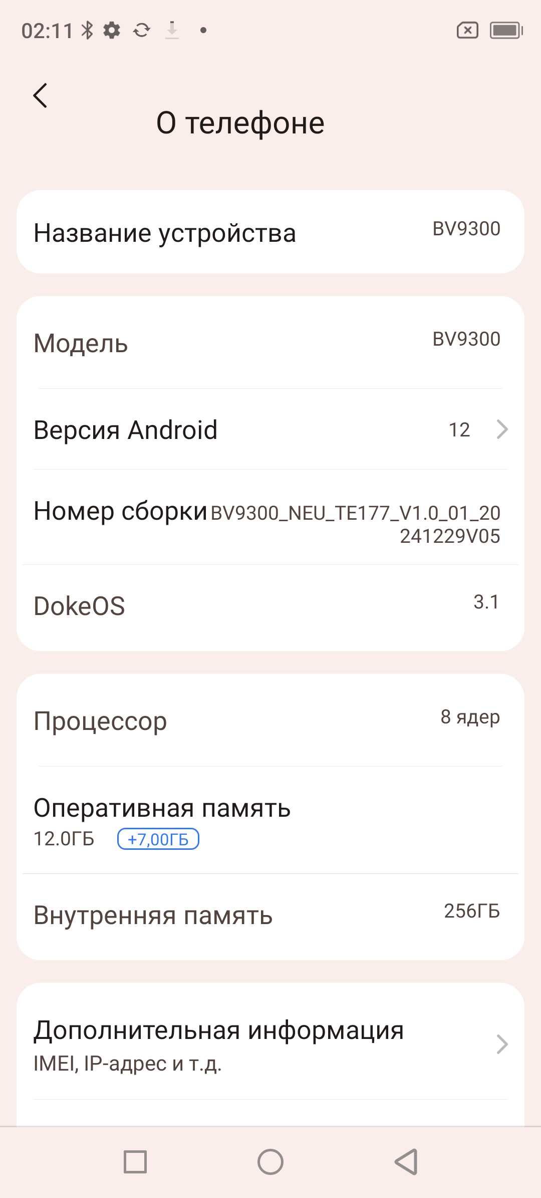 Blackview BV9300