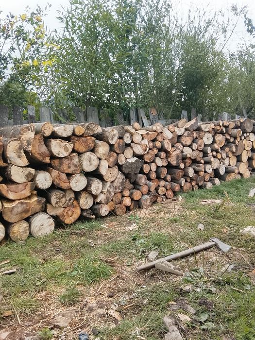 Vând lemne bune de fag transport la domiciliu