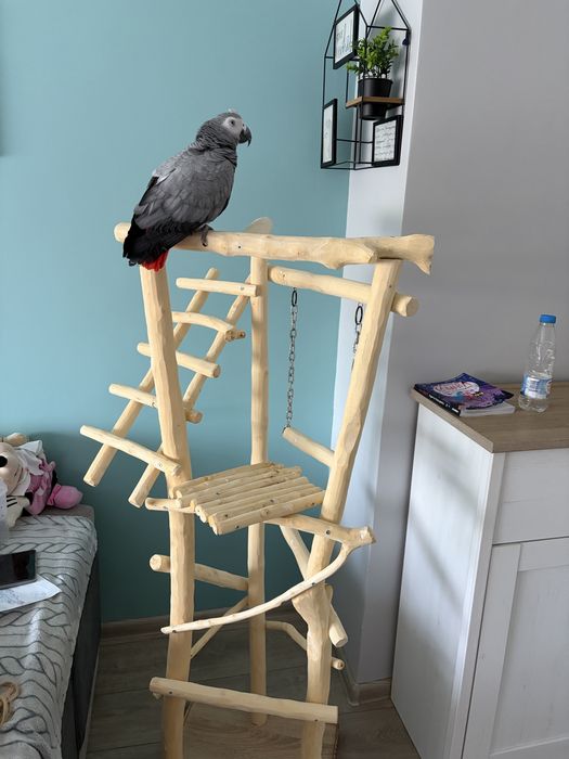 Голяма кацалка(стойка)за папагали…