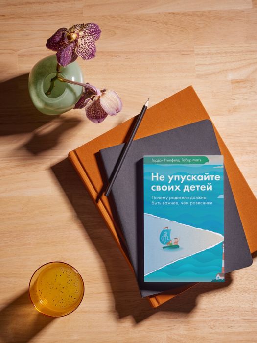 Книга Не упускайте своих детей бестселлер
