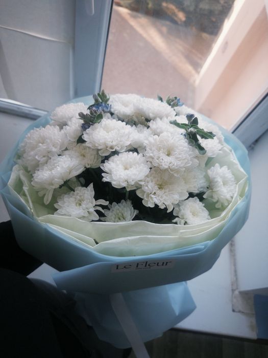 Цветы хризантемы красивые