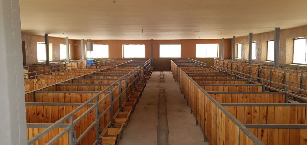 Ферма Ferma готовый бизнес в Ташкенте