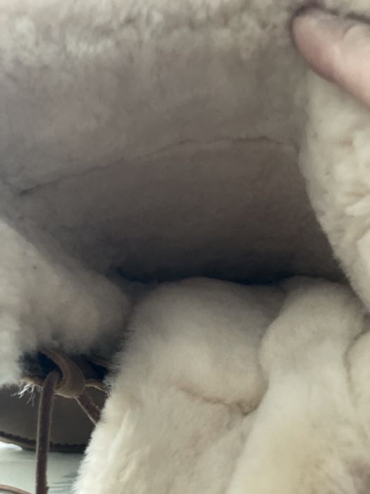 UGG Ботуши оргинални