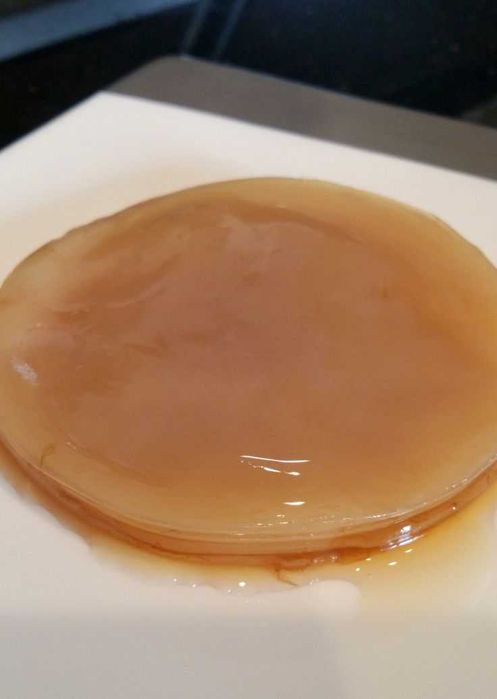 Kombucha SCOBY (ciuperca) + lichid starter + ghid utilizare cu imagini