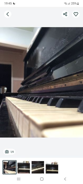 Fartopiyana piyanina