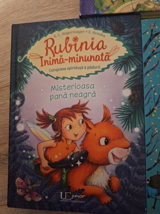 Flora iute ca săgeată,  Rubinia inima minunată și 33 Povesti te iubesc