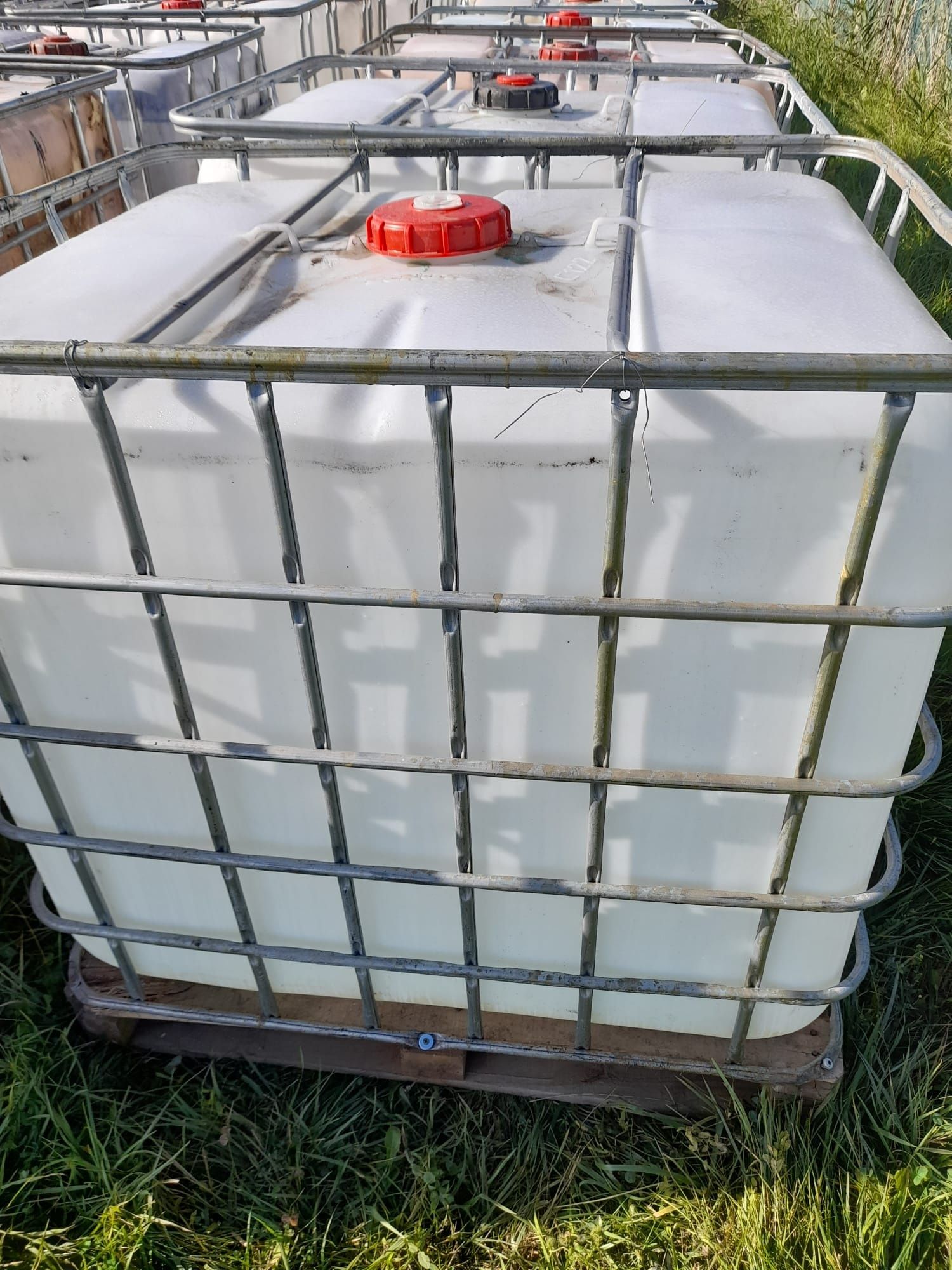 Bazin 1000l IBC Containere