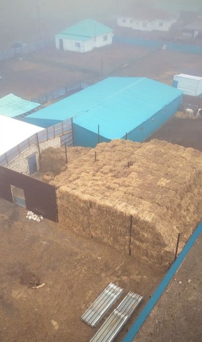 Продам крестьянское хозяйство фазенда кх