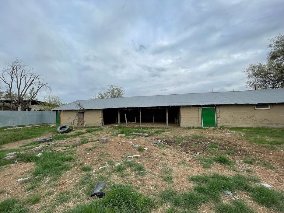 Пппавчрооосчhbhcxxvggx