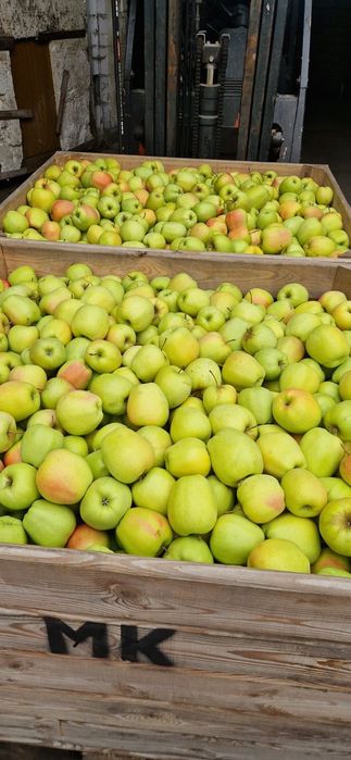 Vând Mere și Cartofi