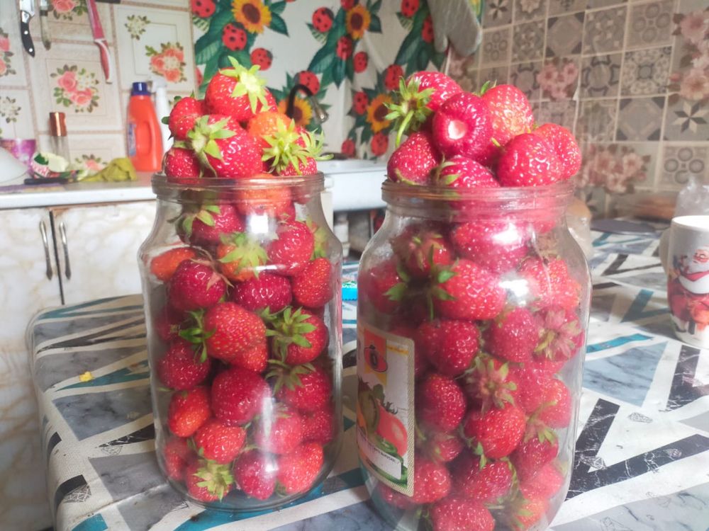 Продам клубнику