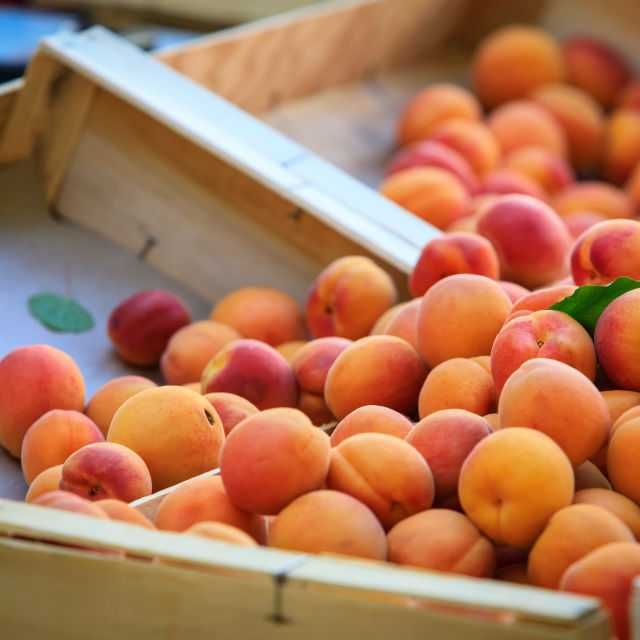 Овощна градина кайсии с.Зафирово