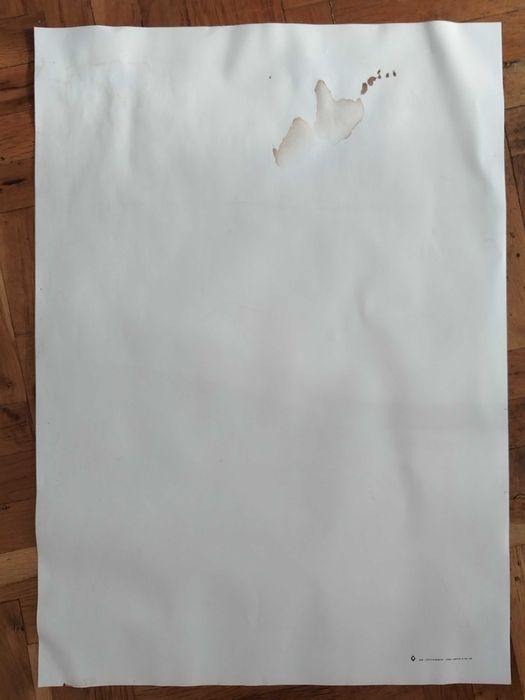 Голям портрет на Тодор Живков