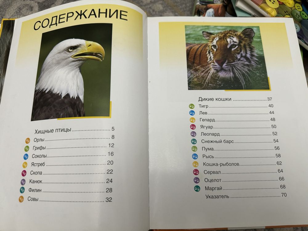 Эциклопедия о животных Эти необычные животные изд-во Росмэн Москва