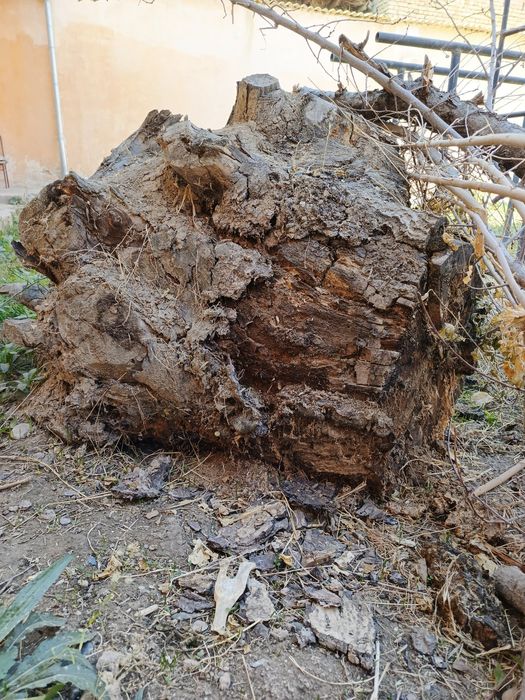 Утин(дрова) сотилади