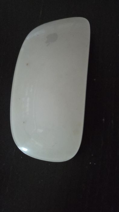 Apple Magic Mouse 1
