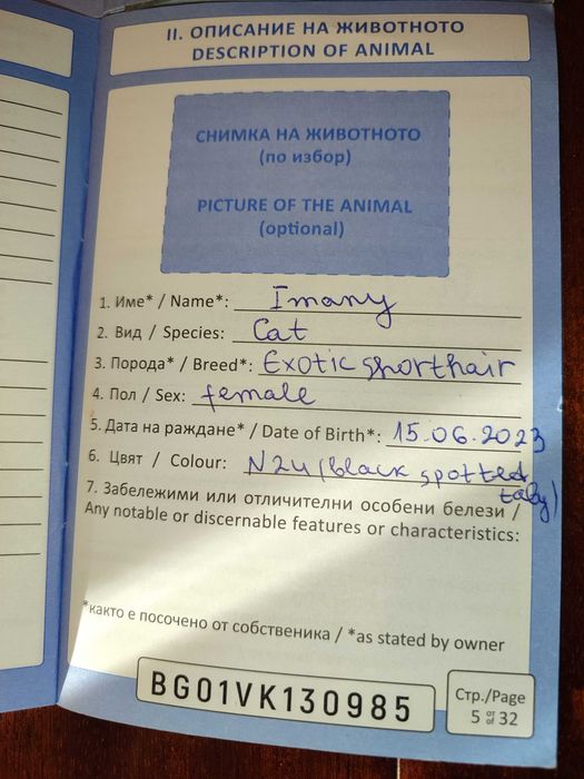 Женски екзотични персийски котки на 4 години,2 години и на 3 месеца.