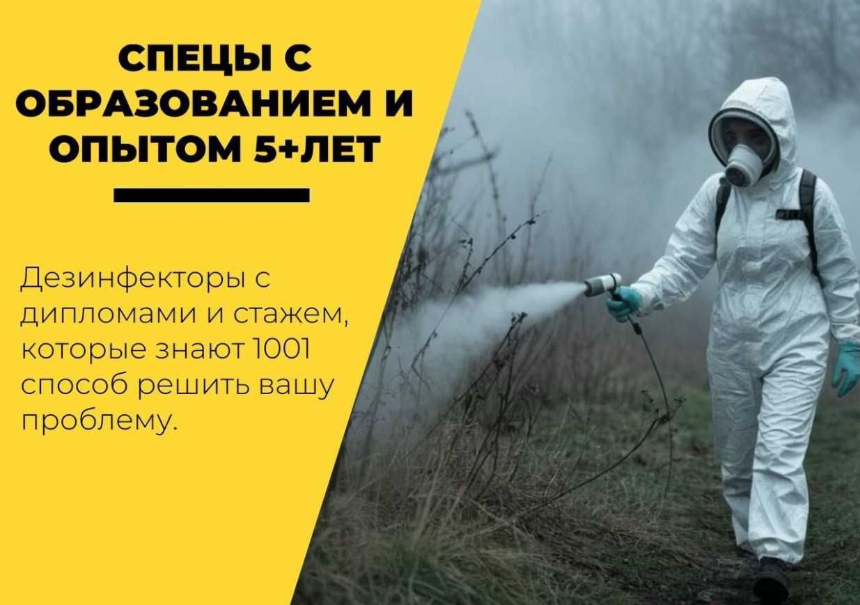 Dezinfeksiya Дезинфекция борщевиков, клещей муравьев мошек мух комаров