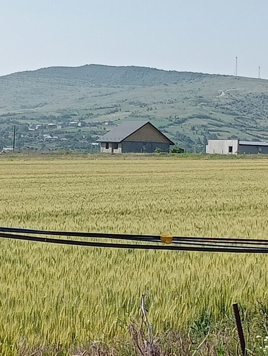 Casa la roșu de vânzare