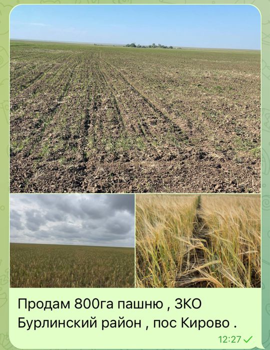 Продам землю для ведения кх