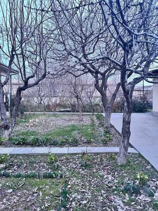 Erkin mahalla Olim polvon orqasida 13 sotixli uy  sotiladi zor narxda