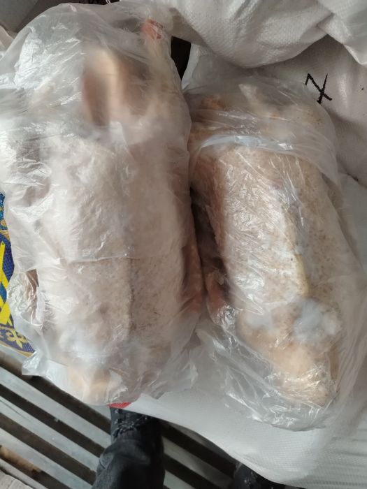 Гусь домашние Қазы Утка Окорачка филе крыло бедро голень