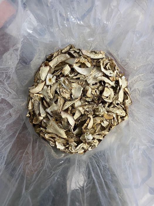 Vand hribi Uscati de toamna