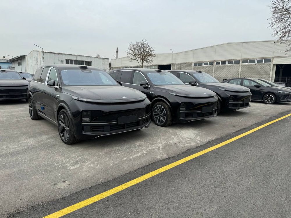Li9 Ultra 2024 yil bez probeg