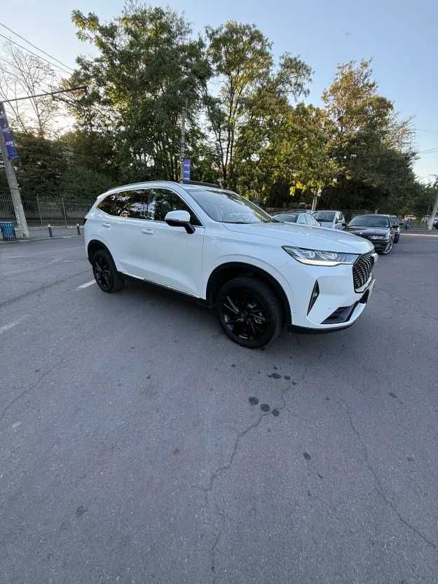Haval de vanzare