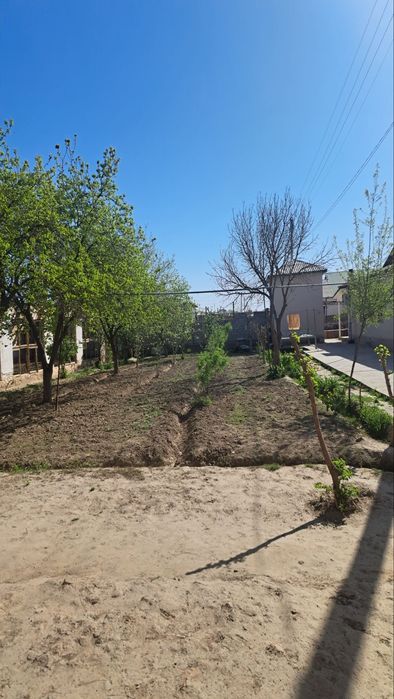 Limonariyada yer sotiladi