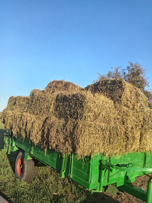 Vând baloți de lucernă